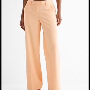 Express Editor Dress Pants